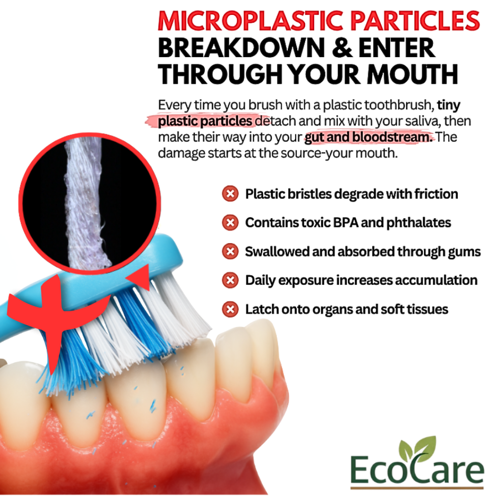 EcoCare Boar Bristle Brush