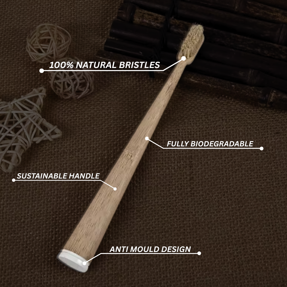 EcoCare Boar Bristle Brush